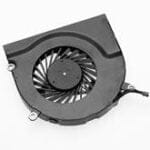 Fan, Right