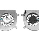 Fan, right