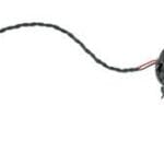 Speaker, Internal