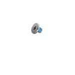 Screw, Display to Neck extension, Pkg. of 5
