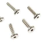 Screw, LCD to bezel,  Pkg. of 5