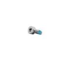 Screw, T-10, SKT, Pkg. of 5 (white plasric cap)