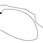 Cable, Microphone