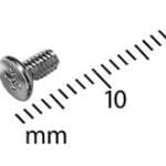 Screw, Phillips, 2 x .4 x 4.6, Pkg. of 5