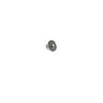 Screw, T-6, 2 x .4 x 2.1, Pkg. of 5